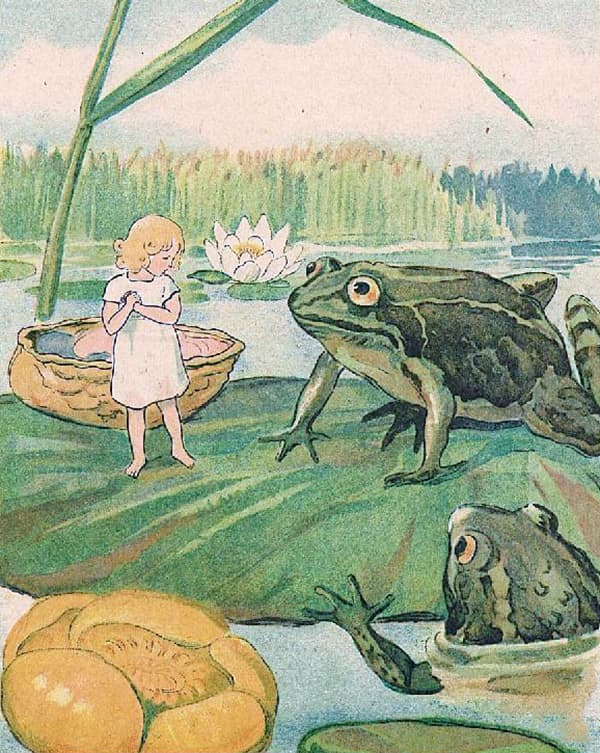Дюймовочка и жаба
