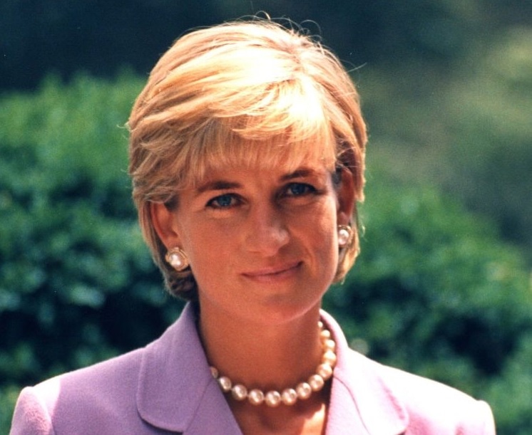 Звезды, бросившие учебу - фон