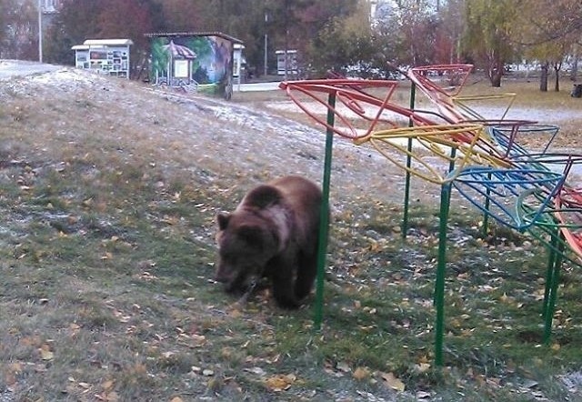 На площадке детской на скамейке пить вино да по крышам бегать чуть касаясь