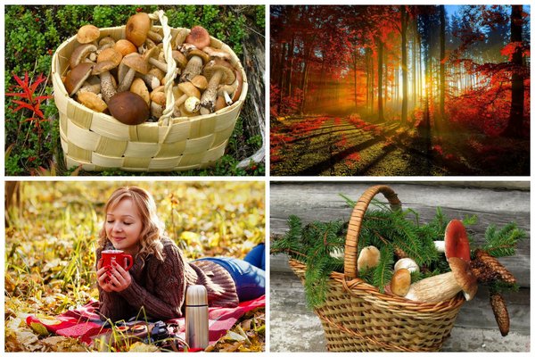 Осенняя фотосессия: идея для девушки Осенняя фотосессия: идея для девушки