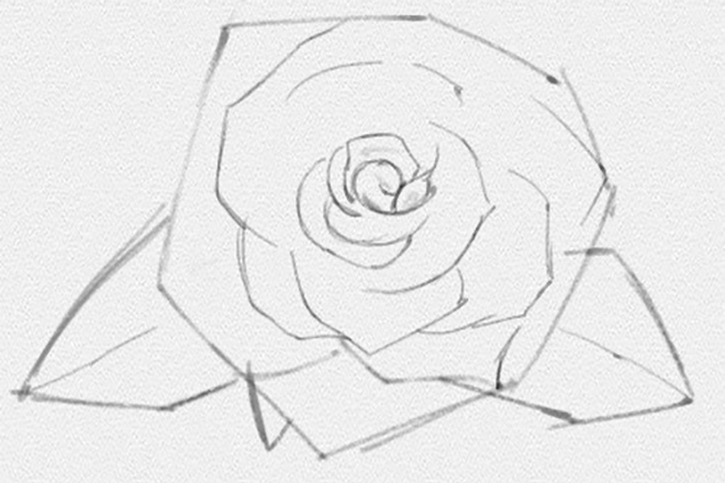Как нарисовать легкую розу