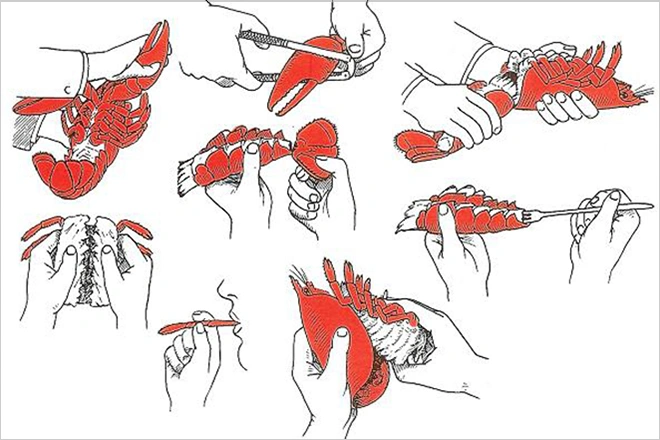 в чем разница между омаром лобстером и лангустом. Смотреть фото в чем разница между омаром лобстером и лангустом. Смотреть картинку в чем разница между омаром лобстером и лангустом. Картинка про в чем разница между омаром лобстером и лангустом. Фото в чем разница между омаром лобстером и лангустом