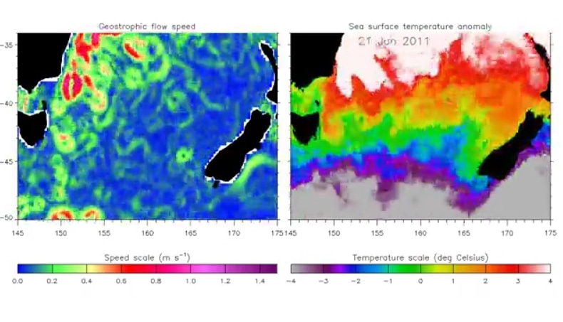 «Дымовые кольца» «Дымовые кольца»