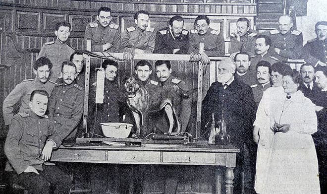 Иван Павлов в Императорской Военно-медицинской академии, 1913 год