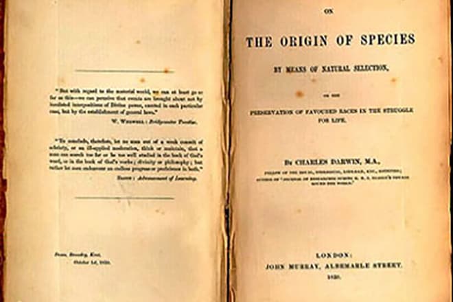 Книга Чарльза Дарвина «Происхождение видов»