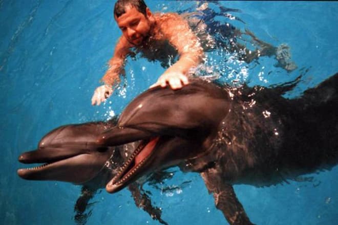 Дельфины нередко спасают людей