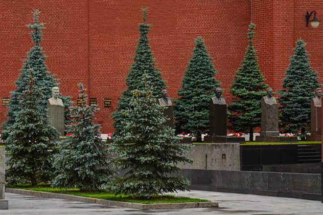 Могила Семена Буденного у Кремлевской стены