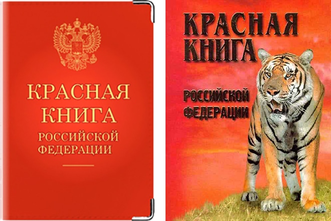 Красная книга фото обложки. Красная книга Российской Федерации обложка. Красная книга России книга. Фотография красной книги России. Красная книга России книга обложка.