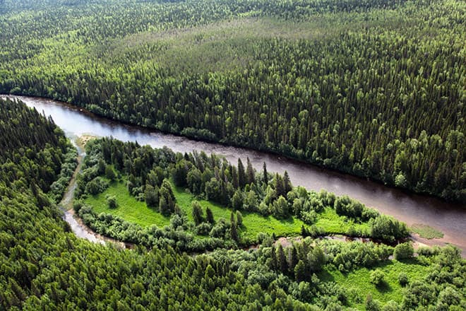Печоро-Илычский заповедник - самый большой в Европе