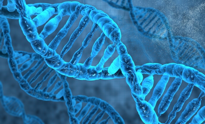 Ученые нашли ген, отвечающий за паранойю