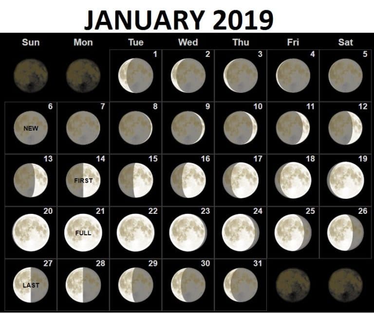 Лунный календарь на январь 2019 стрижки, огородников, фазы Луны 24СМИ