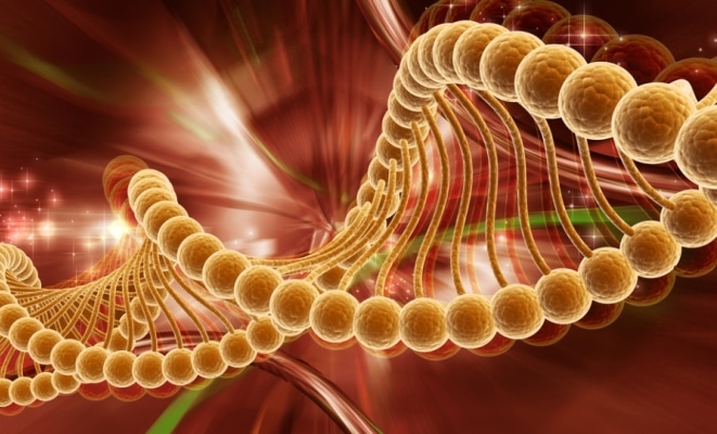 Ученые нашли у женщин «ген измены»