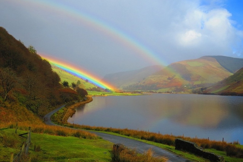 Радуга кислотных оттенков