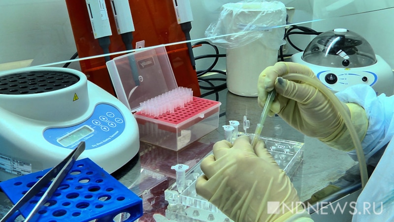 Роспотребнадзор предупредил об угрозе кори в городах, принимающих матчи ЧМ Роспотребнадзор предупредил об угрозе кори в городах, принимающих матчи ЧМ