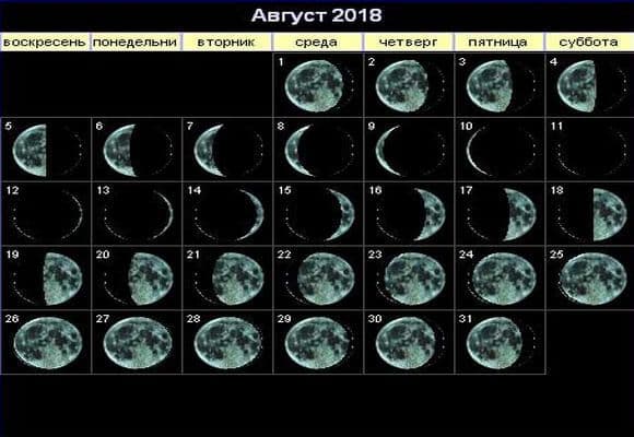 Лунный календарь стрижек на август года
