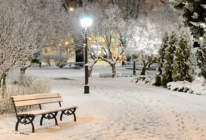 Погода в Москве: стало известно, когда придет зима