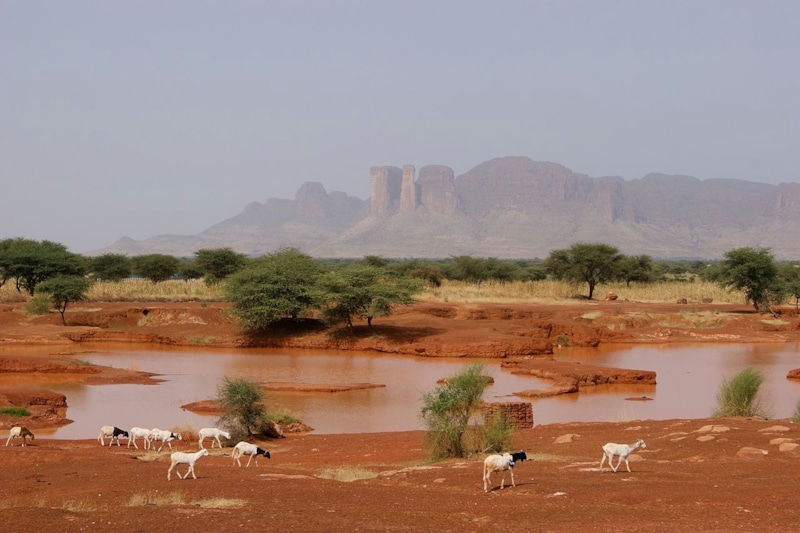 https://upload.wikimedia.org/wikipedia/commons/thumb/2/23/Flickr_-_stringer_bel_-_The_road_to_Timbuktu%2C_Mali_%281%29.jpg/1280px-Flickr_-_stringer_bel_-_The_road_to_Timbuktu%2C_Mali_%281%29.jpg https://upload.wikimedia.org/wikipedia/commons/thumb/2/23/Flickr_-_stringer_bel_-_The_road_to_Timbuktu%2C_Mali_%281%29.jpg/1280px-Flickr_-_stringer_bel_-_The_road_to_Timbuktu%2C_Mali_%281%29.jpg