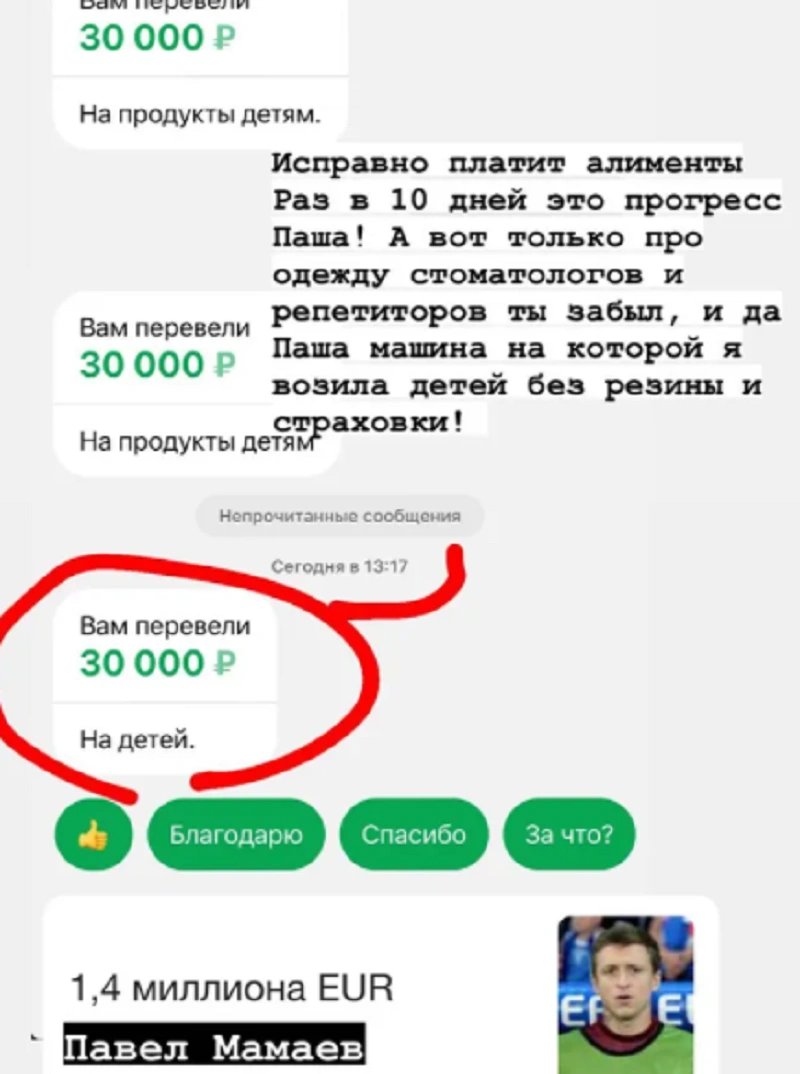 Скриншот со страницы Аланы Мамаевой Скриншот со страницы Аланы Мамаевой