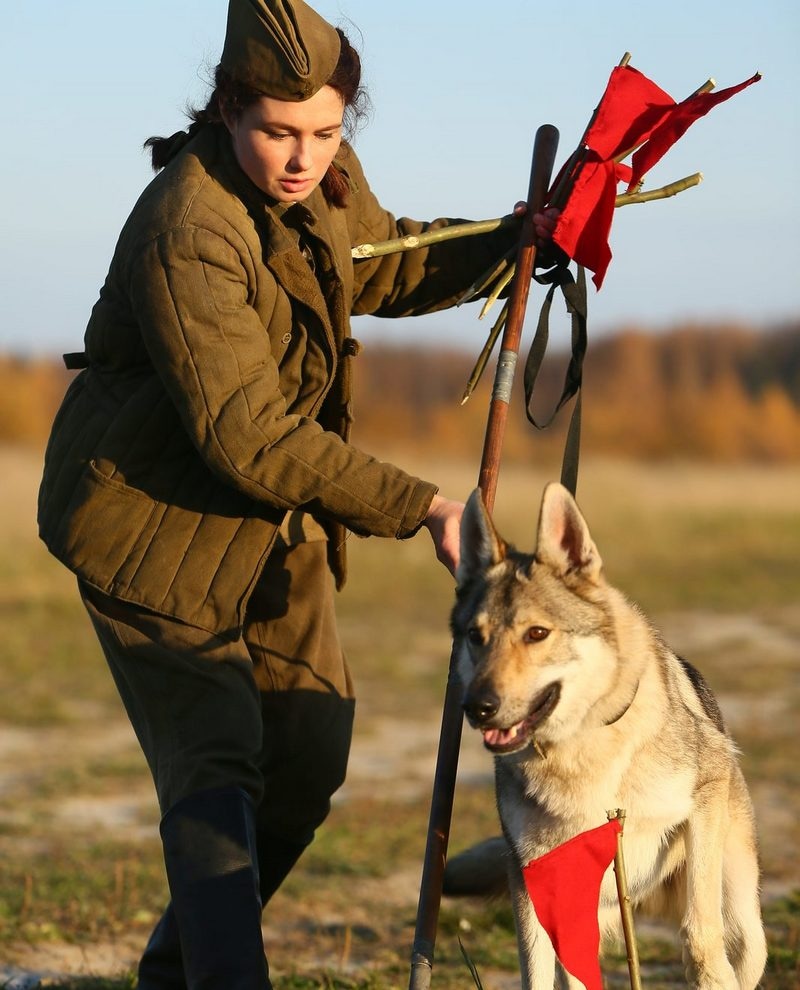 Юлия Афанасьева в роли Дины Волкац в фильме «Дина и доберман» Юлия Афанасьева в роли Дины Волкац в фильме «Дина и доберман»
