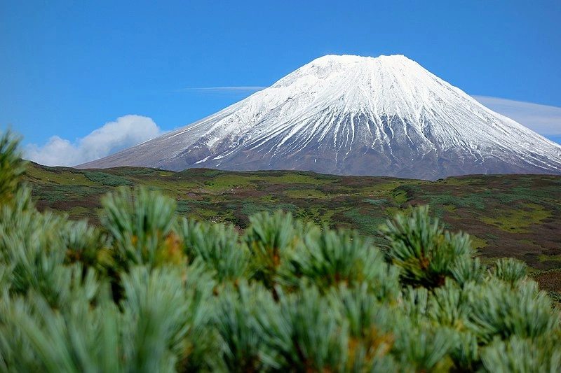 Вулканы Камчатки (https://ru.wikipedia.org/wiki/Дальний_Восток_России#/media/Файл:Kamchatka_(179422813).jpeg)