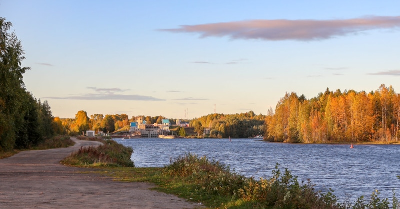 Беломоро балтийская малая раса фото