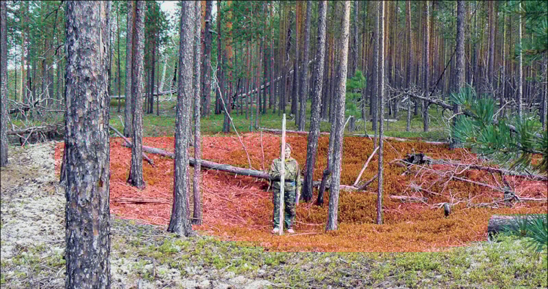 Раскопки в Сибири на месте древнейшей крепости