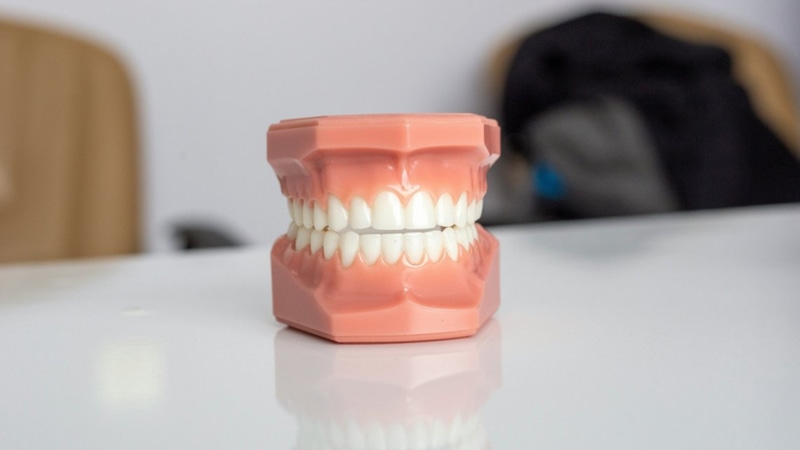 Механический рот: новый уровень исследований