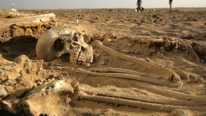 Раннекельтская погребальная камера из дуба