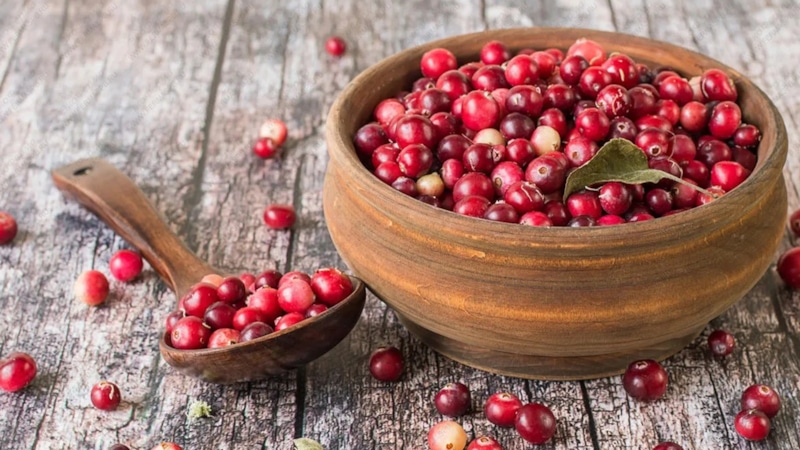 Клюква: польза и ограничения