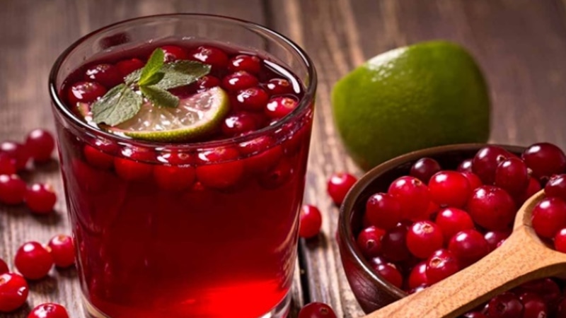 Брусничный сбитень: польза и вкус