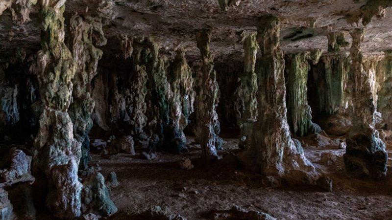 Неандертальский клей: древние технологии