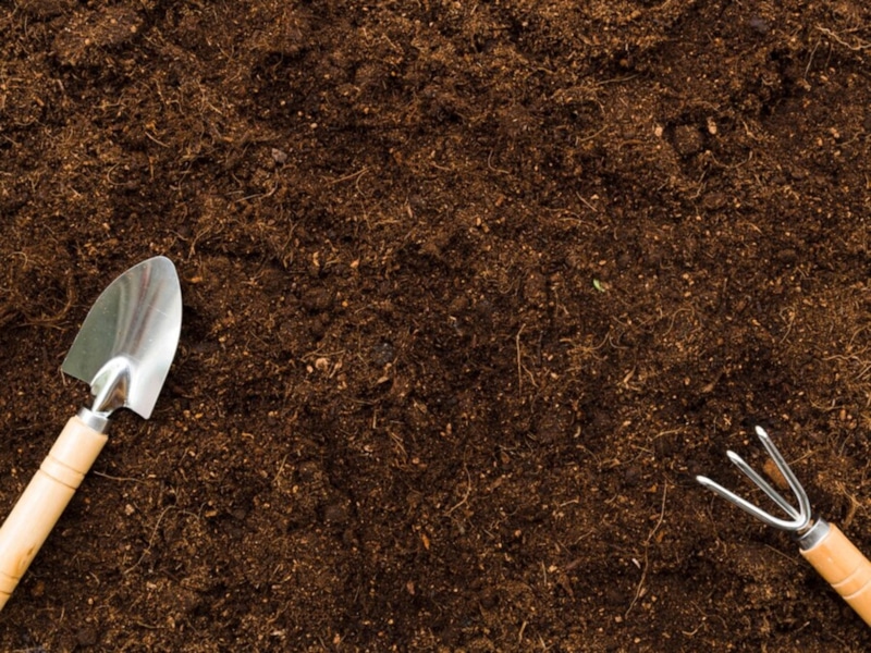 Обогащение почвы: простые советы