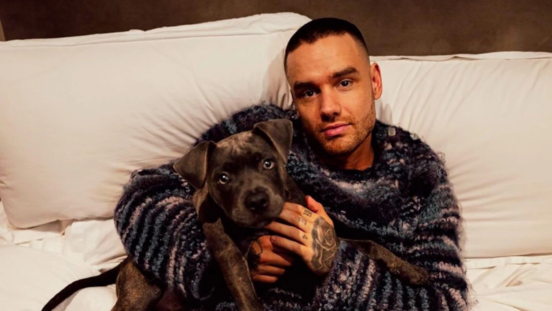 Три человека оказались под подозрением в гибели Лиама Пейна