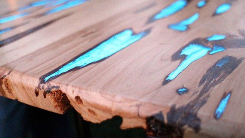 Светящаяся древесина: грибы и наука Светящаяся древесина: грибы и наука