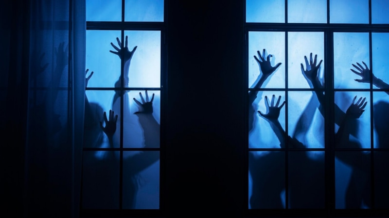 Призраки и наука: плесень и галлюцинации