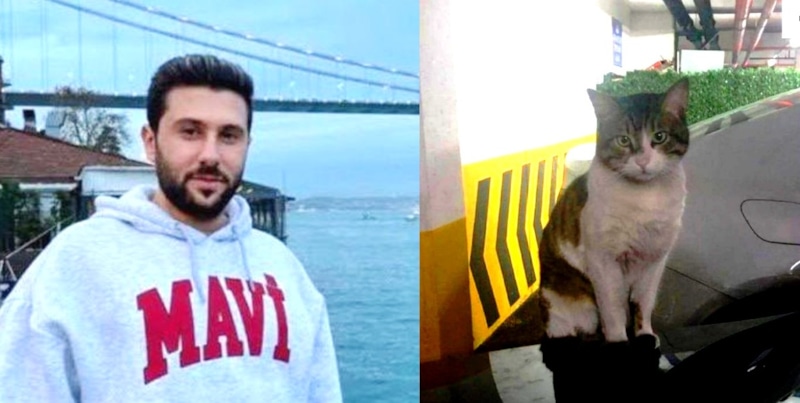 Ибрагим Келоглан и кот Эрос