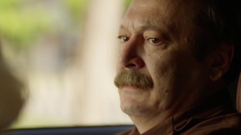 Владислав Ветров в образе Петра / Фото: Кадр из сериала «Неукротимая Неупокоева»