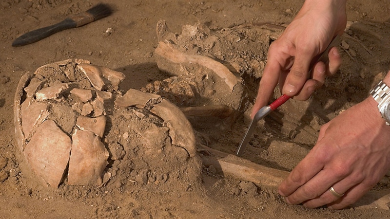 Древний сосуд: вино эпохи Шан