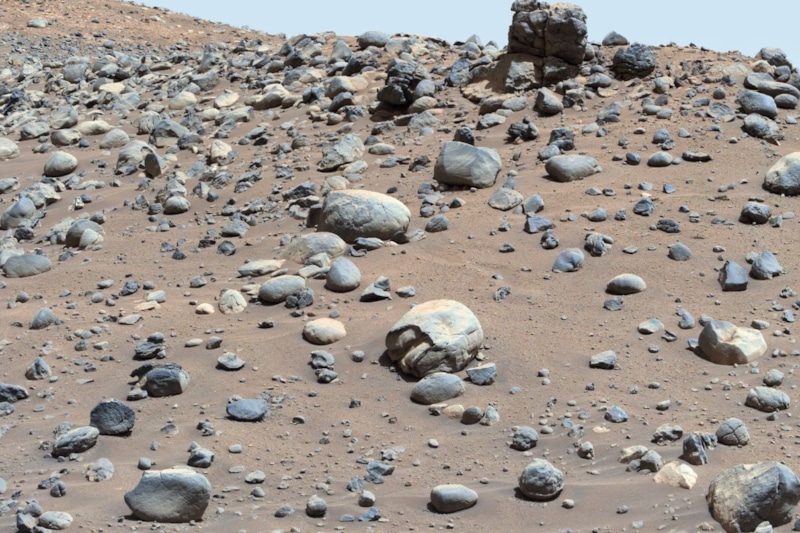 Камень-черепаха на Марсе: загадка природы