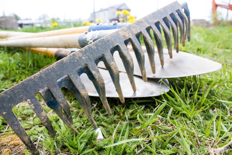 Осенний сад под мульчей: ленивое плодородие