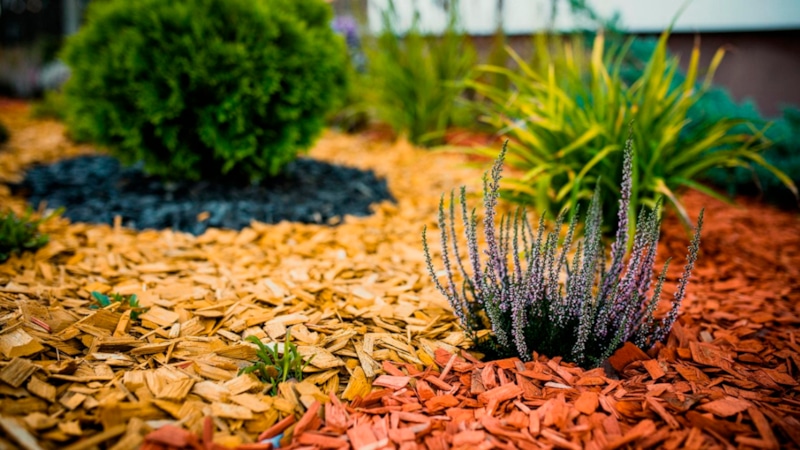 Мульчирование грядок: альтернатива перекопке