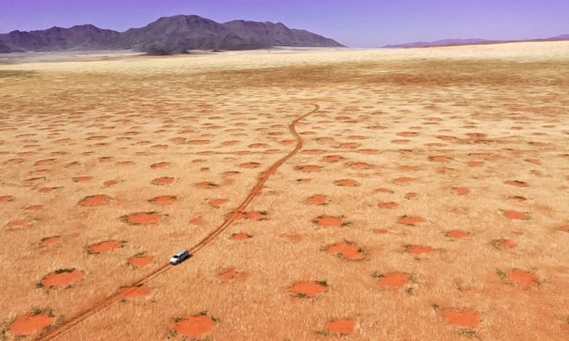 Ведьмины круги: загадка и научные гипотезы