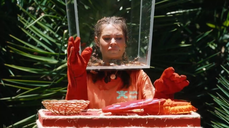 Третий выпуск шоу "Звёзды в джунглях": кто дрогнул перед тараканами и проиграл Третий выпуск шоу "Звёзды в джунглях": кто дрогнул перед тараканами и проиграл