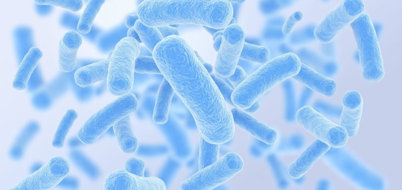 Бактерии из прошлого: научное открытие