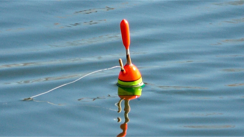 Секреты поклевки: поплавок как индикатор