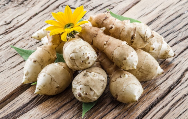 Топинамбур на зиму: правильное хранение корнеплодов