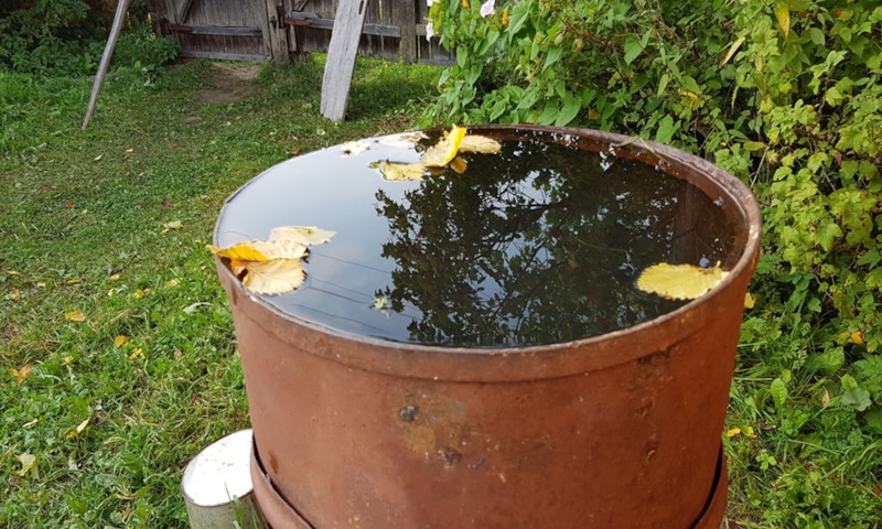 Осенняя забота о бочке: сохранность надолго