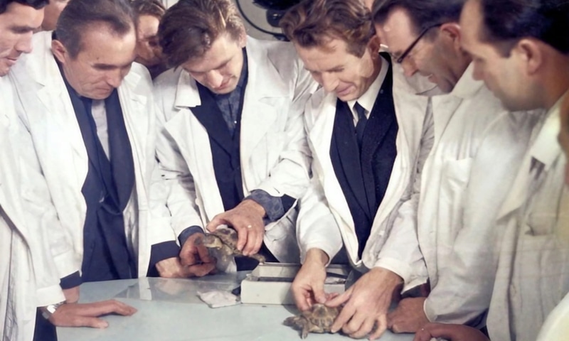 Советские черепахи: полет вокруг Луны