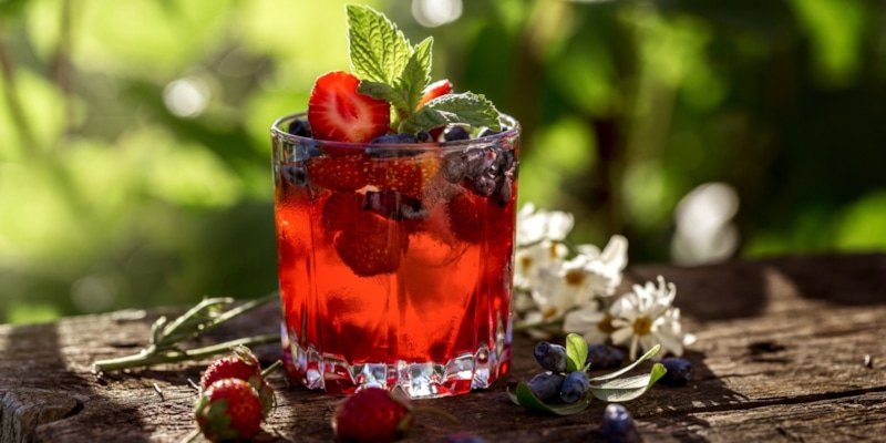 Компот из жимолости: вкус лета