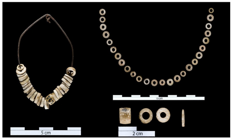 Древние бусы: загадка скафоподов